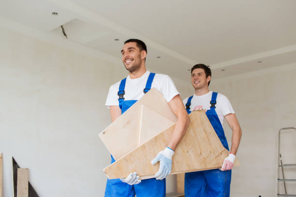 Best Demolition Debris Removal  in Mount Pleasant, MI